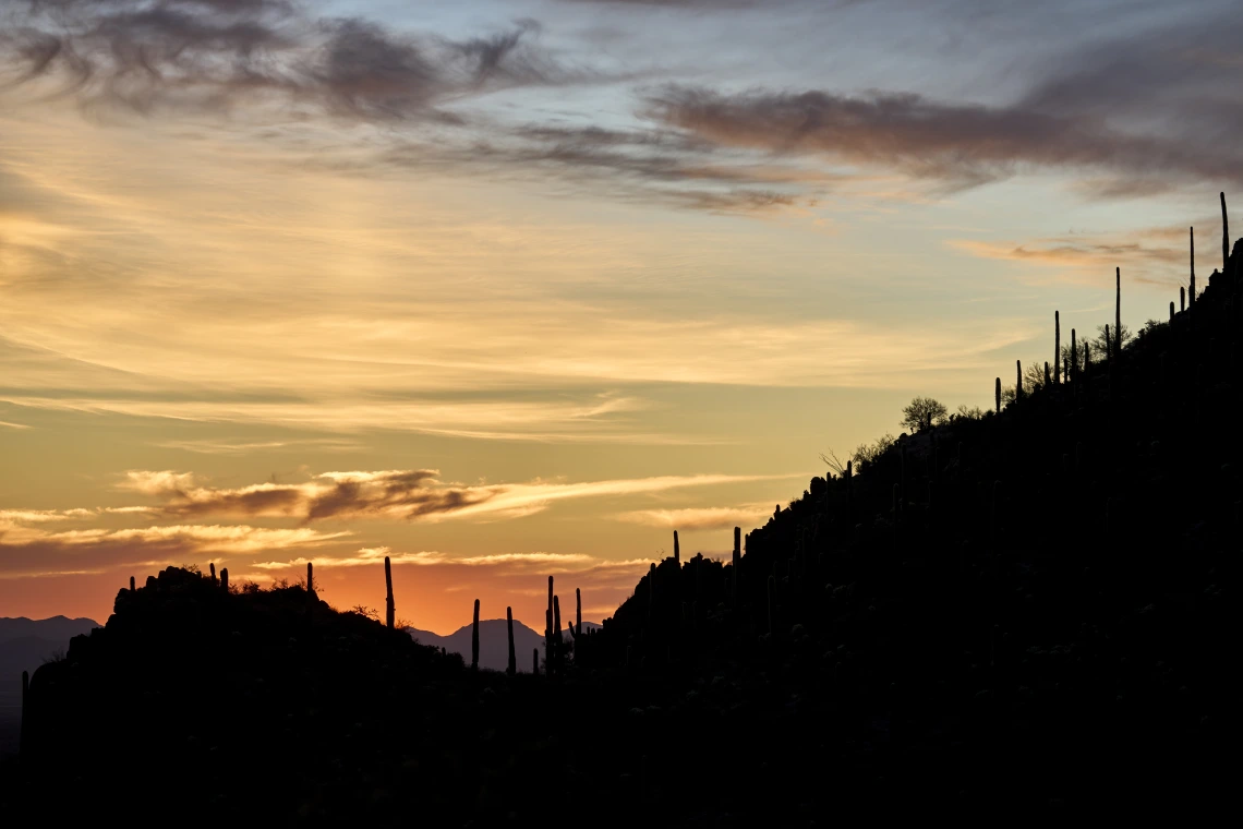 Tucson sunset